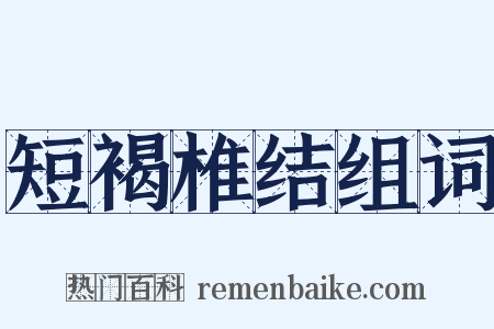 短褐椎结组词是什么意思的图片